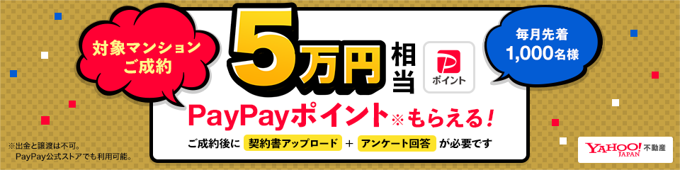 ペイペイポイント