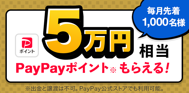 ペイペイポイント