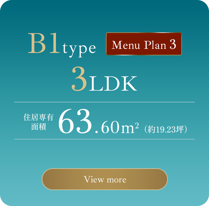 B1 menu3type