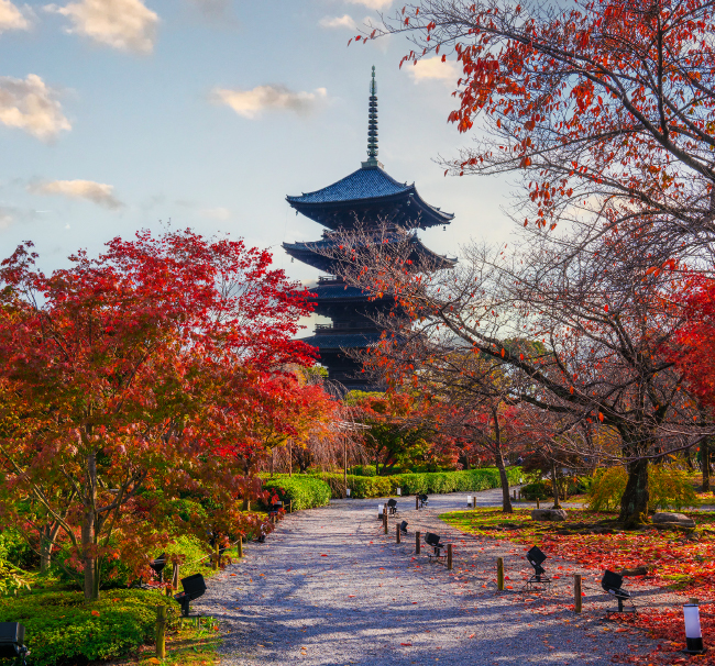 東寺