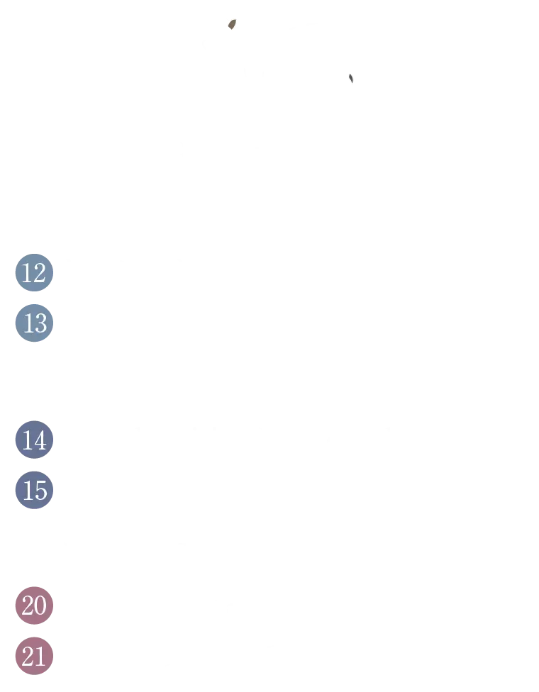 洋食・肉料理
