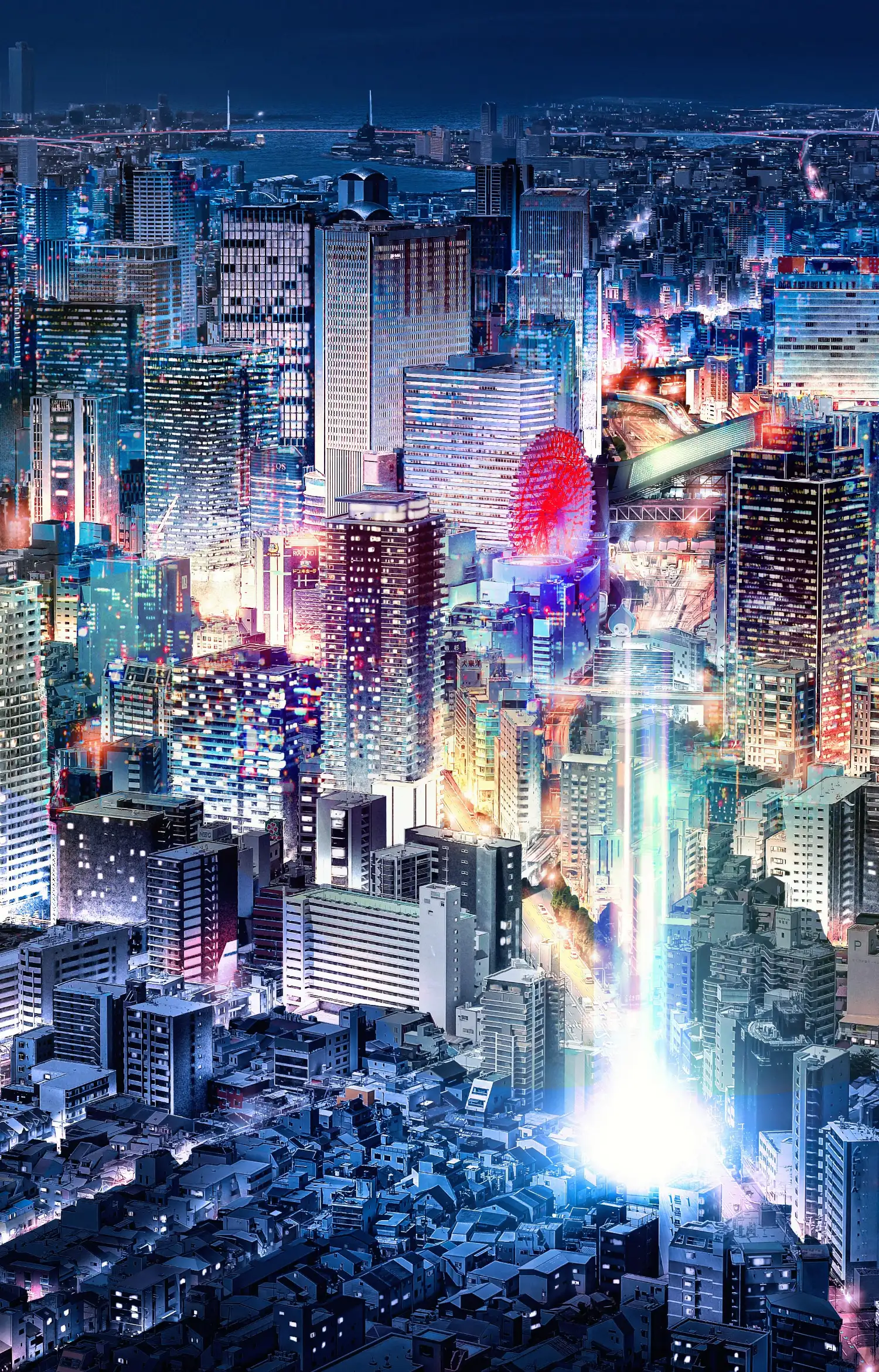航空写真